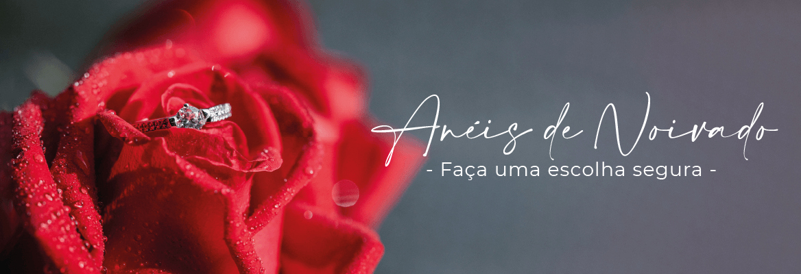 Anel prateado com diamantes pousado numa rosa vermelha, para a categoria anéis de noivado.